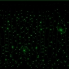 Гирлянда Curtain DELUX 2x3м (Штора) 912LED зеленая